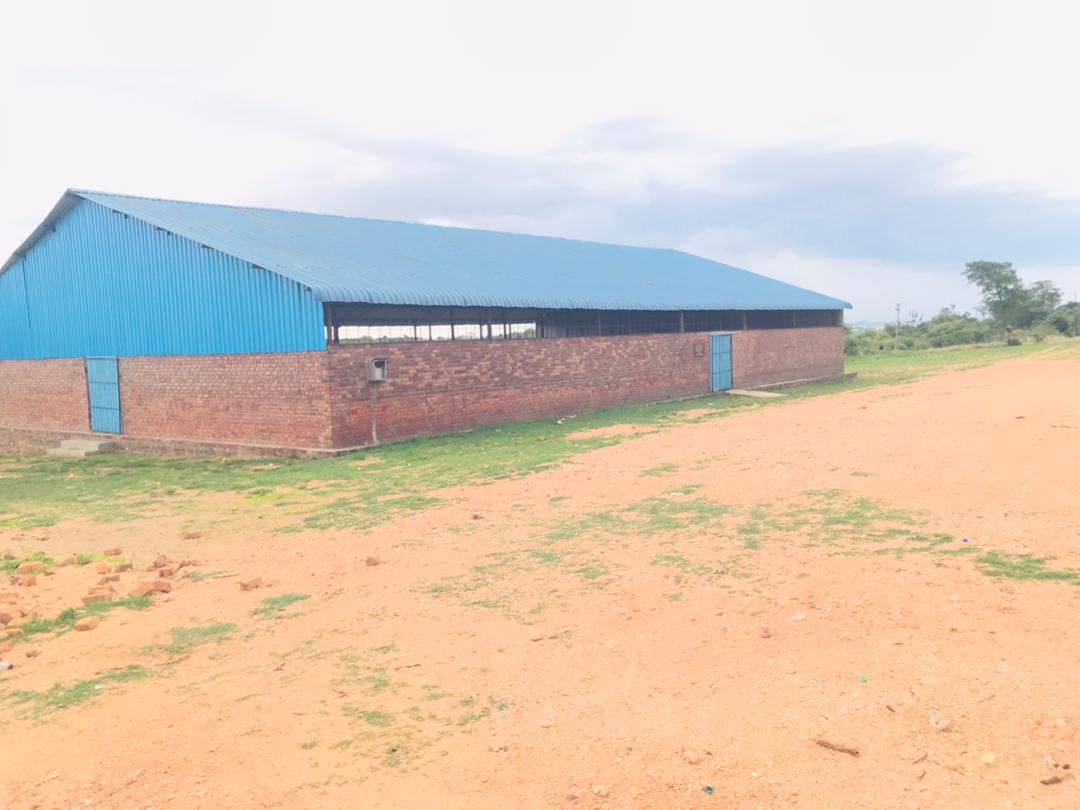 Borehole Drilling Program